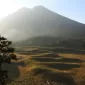 Savana Propok menawarkan panorama alam yang memukau, dengan padang rumput hijau yang luas serta ilalang.(TNGR)