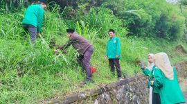 IAIH Pancor Perkuat Komitmen Lingkungan dengan Tanam Pohon di Bali. (sumber; istimewa)