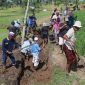 Semangat gotong royong warga Desa Loyok dalam proses pengerjaan fisik program TMMD ke-121. (foto: lombokini.com/istimewa)