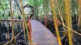 Bale Mangrove: Destinasi Ekowisata di Lombok Timur yang Menyatu dengan Alam dan Pemberdayaan Masyarakat di Desa Jerowaru. (Foto: Lombokini.com).