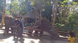 Sekda NTB Dorong Wildlife Park Sebagai Destinasi Edukasi Satwa.(Foto: Lombokini.com).