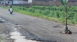 Pohon Pisang di Jalan Berlubang Paokmotong-Padamara sebagai Penanda untuk Cegah Kecelakaan. (Foto: Lombokini.com/Geldi Channelntb.com).