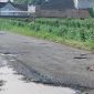 Pohon Pisang di Jalan Berlubang Paokmotong-Padamara sebagai Penanda untuk Cegah Kecelakaan. (Foto: Lombokini.com/Geldi Channelntb.com).