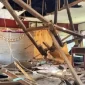 Atap Tiga Kelas SDN 6 Batuyang Ambruk karena Konstruksi Rapuh. (Foto: Lombokini.com).