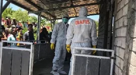 Warga Dusun Temayang, Desa Batu Nampar Selatan, Jerowaru Gempar Temukan Mayat Jasen Usman Saputra, Selasa 23 September 2025. (Foto: Lombokini.com).