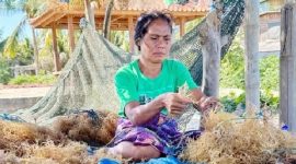 Pemkab Lotim dan Unram Kolaborasi Bangun Laboratorium Rumput Laut Kelas Dunia. (Foto: Lombokini.com/www.ntbpos.com).