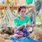 Pemkab Lotim dan Unram Kolaborasi Bangun Laboratorium Rumput Laut Kelas Dunia. (Foto: Lombokini.com/www.ntbpos.com).