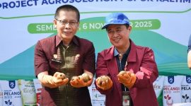 Wakil Bupati dan Direktur Kementan Panen Kentang di Sembalun, Kamis 6 November 2025. (Foto: Lombokini.com).