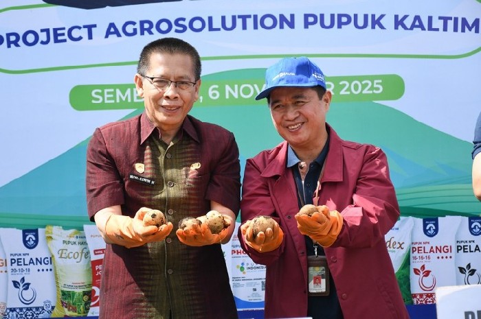 Wakil Bupati dan Direktur Kementan Panen Kentang di Sembalun, Kamis 6 November 2025. (Foto: Lombokini.com).