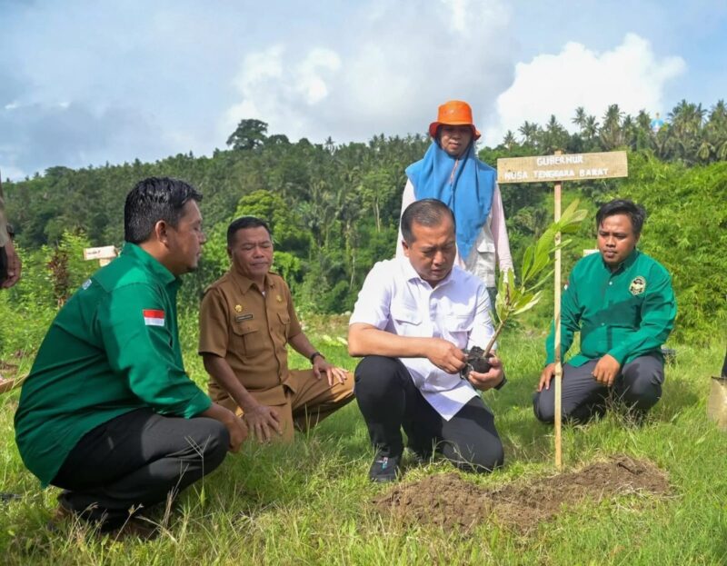 Gubernur NTB Tegaskan Pelestarian Lingkungan sebagai Investasi Jangka Panjang. (Foto: Lombokini.com/