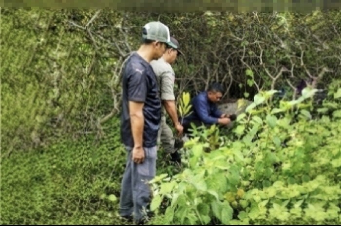 TSBD Belanting Tanam Pohon di Bantaran Sungai untuk Cegah Banjir Bandang. (Foto: Lombokini.com).