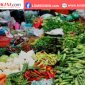 Sayur mayur memenuhi kebutuhan pokok warga selama Ramadan, seiring komitmen pemerintah menjaga stabilitas dan ketahanan pangan nasional. (Foto: Lombokini.com).