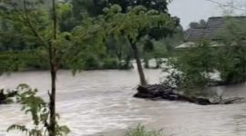 Banjir Rendam Jerowaru Lombok Timur, BPBD Evakuasi Warga. (Foto: Lombokini.com/Tangkapan Layar).
