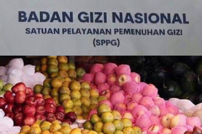Pedagang Buah Bantah Klaim Wbup Lotim: Penutupan SPPG Tak Berdampak pada Ekonomi Warga. (Foto: Lombokini.com).

