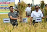 Bupati Lombok Timur Haerul Warisin menghadiri panen padi kemitraan bersama PT Agrinas dan mengajak petani mendukung kemandirian pangan di Desa Montong Baan, Kecamatan Sikur, Kamis 13 Maret 2025. (Foto: Lombokini.com).