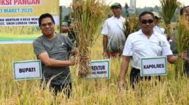 Bupati Lombok Timur Haerul Warisin menghadiri panen padi kemitraan bersama PT Agrinas dan mengajak petani mendukung kemandirian pangan di Desa Montong Baan, Kecamatan Sikur, Kamis 13 Maret 2025. (Foto: Lombokini.com).
