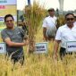 Bupati Lombok Timur Haerul Warisin menghadiri panen padi kemitraan bersama PT Agrinas dan mengajak petani mendukung kemandirian pangan di Desa Montong Baan, Kecamatan Sikur, Kamis 13 Maret 2025. (Foto: Lombokini.com).