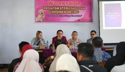 Wabup Lombok Timur, Moh. Edwin Hadiwijaya membuka Workshop Sterilisasi dan Vaksinasi Anjing Liar di Aula dinas Peternakan dan Kesehatan Hewan Lombok Timur, Kamis 30 April 2026. Kegiatan ini bertujuan mencari solusi pengendalian populasi anjing liar.