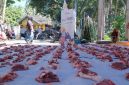 Relawan Masjid Nusantara dan Sharing Happiness mengamanahkan Yayasan Cahaya Untuk Negeri (CUN) serta melibatkan Pemkab Lombok Timur untuk menyalurkan lebih dari 4.000 paket daging kurban kepada warga prasejahtera di pelosok Lombok Timur saat Iduladha 1447 H/2026 M. (Foto: Lombokini.com).
