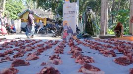 Relawan Masjid Nusantara dan Sharing Happiness mengamanahkan Yayasan Cahaya Untuk Negeri (CUN) serta melibatkan Pemkab Lombok Timur untuk menyalurkan lebih dari 4.000 paket daging kurban kepada warga prasejahtera di pelosok Lombok Timur saat Iduladha 1447 H/2026 M. (Foto: Lombokini.com).
