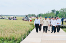 Presiden RI Prabowo Subianto menghadiri Panen Raya di Desa Kertamukti, Kabupaten Karawang, Provinsi Jawa Barat, Rabu 7 Januari 2026. (Foto: Lombokini.com/Gerindra.id).