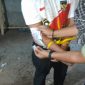 Sekitar pukul 00.15 Wita sebuah rumah yang diduga seting dijadikan lokasi transaksi narkotika berhasil diamankan. Penggerebekan itu tepatnya terjadi pada Kamis (4/6/2026) yang dilakukan oleh Tim Opsnal Satresnarkoba Polres Lombok Timur (Lotim).