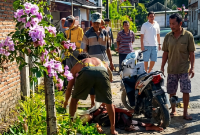 Nurudin Tewas Disayat Sabit Tetangga di Pringgasela, Lombok Timur, Jumat 19 Juni 2026. (Foto: Lombokini.com).