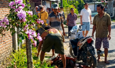 berita-pilihan-foto