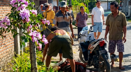 Nurudin Tewas Disayat Sabit Tetangga di Pringgasela, Lombok Timur, Jumat 19 Juni 2026. (Foto: Lombokini.com).
