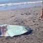 Warga Desa Labuhan Haji, Kabupaten Lombok Timur (Lotim), Nusa Tenggara Barat (NTB), digegerkan dengan penemuan mayat seorang wanita di pinggir pantai setempat pada Kamis pagi, 4 Juni 2026. Korban yang ditemukan dalam posisi terlentang tersebut diduga kuat mengalami gangguan jiwa.