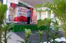 Wakil bupati saat sambutan di Grand Opening Z Coffee Hening (doc. Zan)