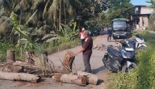 Warga Kalijaga Timur memblokir jalan lintasan truk galian C menggunakan batang kelapa, Ahad 16 Agustus 2026. Aksi ini mereka lakukan untuk mendesak perbaikan jalan rusak di wilayah tersebut. [Foto: Lombokini.com]