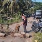 Warga Kalijaga Timur memblokir jalan lintasan truk galian C menggunakan batang kelapa, Ahad 16 Agustus 2026. Aksi ini mereka lakukan untuk mendesak perbaikan jalan rusak di wilayah tersebut. [Foto: Lombokini.com]