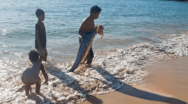 Kemunculan Ikan 'Oarfish' di Pantai Pink Lombok Tuai Pertanyaan, Ini Faktanya. (Foto: Lombokini.com/Tangkapan Layar)