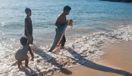 Kemunculan Ikan 'Oarfish' Raksasa di Pantai Pink Lombok Tuai Pertanyaan, Ini Faktanya.
