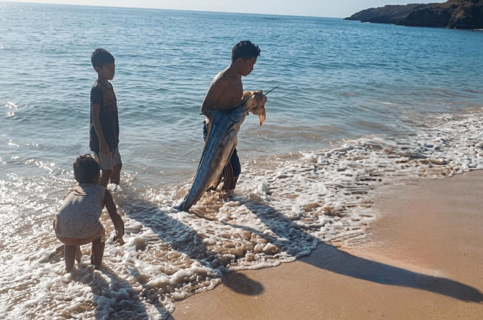 Kemunculan Ikan 'Oarfish' di Pantai Pink Lombok Tuai Pertanyaan, Ini Faktanya. (Foto: Lombokini.com/Tangkapan Layar)