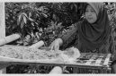 Murnihati sedang menjemur bahan baku terasi yakni udang rebon.
