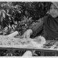 Murnihati sedang menjemur bahan baku terasi yakni udang rebon.