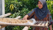 Murnihati sedang menjemur bahan baku trasi, yakni udang rebon.